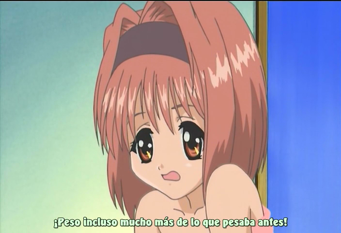 Sister Princess: Re Pure (Animebox Fansub)